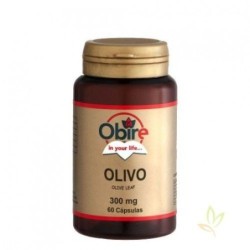 Comprar Olivo (Olea europaea) tienda-online