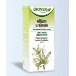 Ext. allium ursinde Biover,aceites esenciales | tiendaonline.lineaysalud.com