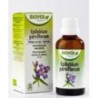 Ext. epilobium pade Biover,aceites esenciales | tiendaonline.lineaysalud.com
