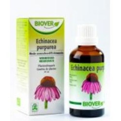 Ext. echinacea pude Biover,aceites esenciales | tiendaonline.lineaysalud.com