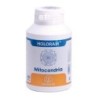 Holoram mitocondrde Equisalud | tiendaonline.lineaysalud.com