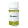 Holofungi miceliude Equisalud | tiendaonline.lineaysalud.com