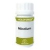 Holofungi miceliude Equisalud | tiendaonline.lineaysalud.com