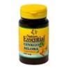 Ginkgo biloba 500 mg. 60 Comprimidos  en tiendaonline.lineaysalud.com