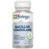 Bacillus coagulande Solaray,aceites esenciales | tiendaonline.lineaysalud.com