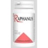 Raphanus 300cap.de Codival | tiendaonline.lineaysalud.com