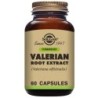 Comprar Valeriana 60caps Solgar-Mejor precio|tiendaonline.lineaysalud