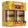 Garcinia cambogiade Dietmed | tiendaonline.lineaysalud.com