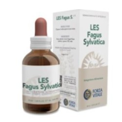 Les fagus sylvatide Forza Vitale | tiendaonline.lineaysalud.com