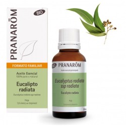 Eucalipto radiatade Pranarom | tiendaonline.lineaysalud.com
