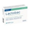 Lactobac de Vitalfarma | tiendaonline.lineaysalud.com