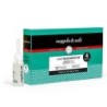 Pack regenerador de Nuggela & Sule | tiendaonline.lineaysalud.com