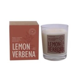 Vela vaso botvaslde Cerabella | tiendaonline.lineaysalud.com