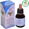 Msa vaccinium vitde Herboplanet | tiendaonline.lineaysalud.com