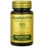 Alcachofavital de Herdibel | tiendaonline.lineaysalud.com