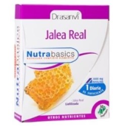 Nutrabasics jaleade Drasanvi | tiendaonline.lineaysalud.com
