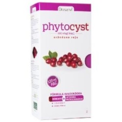 Phytocyst 250ml.de Drasanvi | tiendaonline.lineaysalud.com