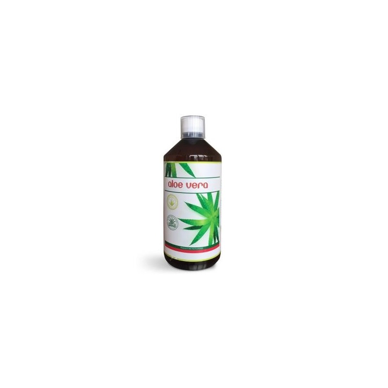 Aloe vera 1litrode Enzime - Sabinco | tiendaonline.lineaysalud.com