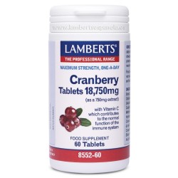Arándanos rojos americanos o cranberry. Variedad Vaccinium Macrocarpon