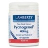 Pycnogenol original (Extracto de corteza de pino marítimo) | Lamberts
