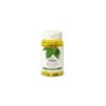 Boldo (Peumus boldus) 500 mg. 60 comp. en tiendaonline.lineaysalud.com