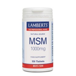 MSM 1.000 mg  (Metilsulfonilmetano) en tiendaonline.lineaysalud.com